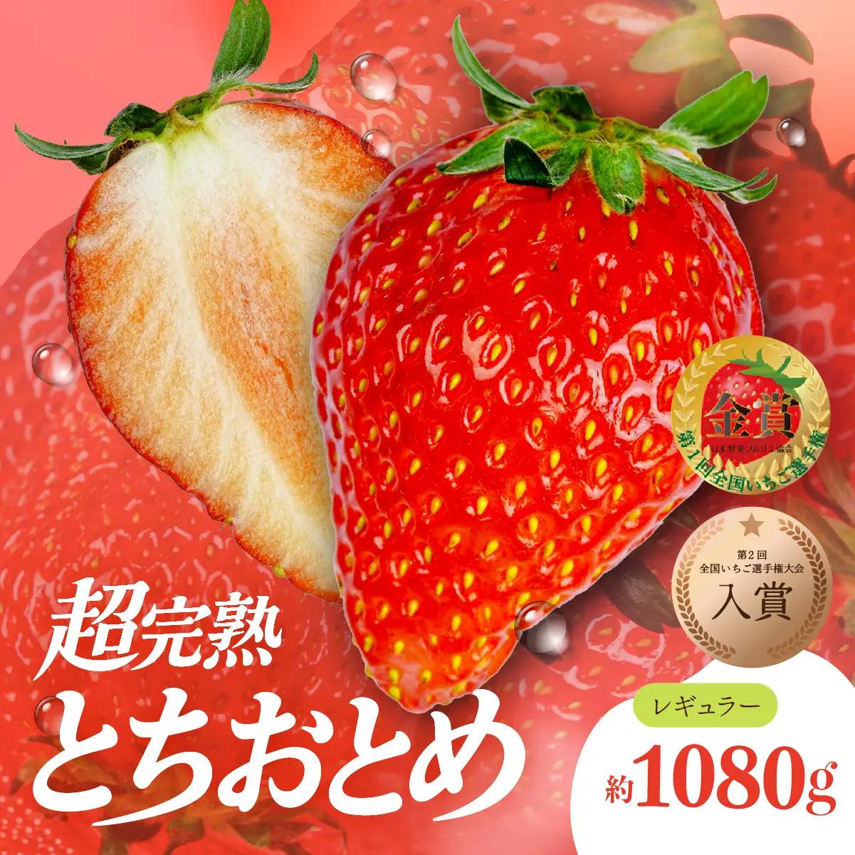 いちご【2月以降発送】朝採れとちおとめ レギュラーサイズ 約270g×4パック 合計 約1080g |イチゴ いちご 