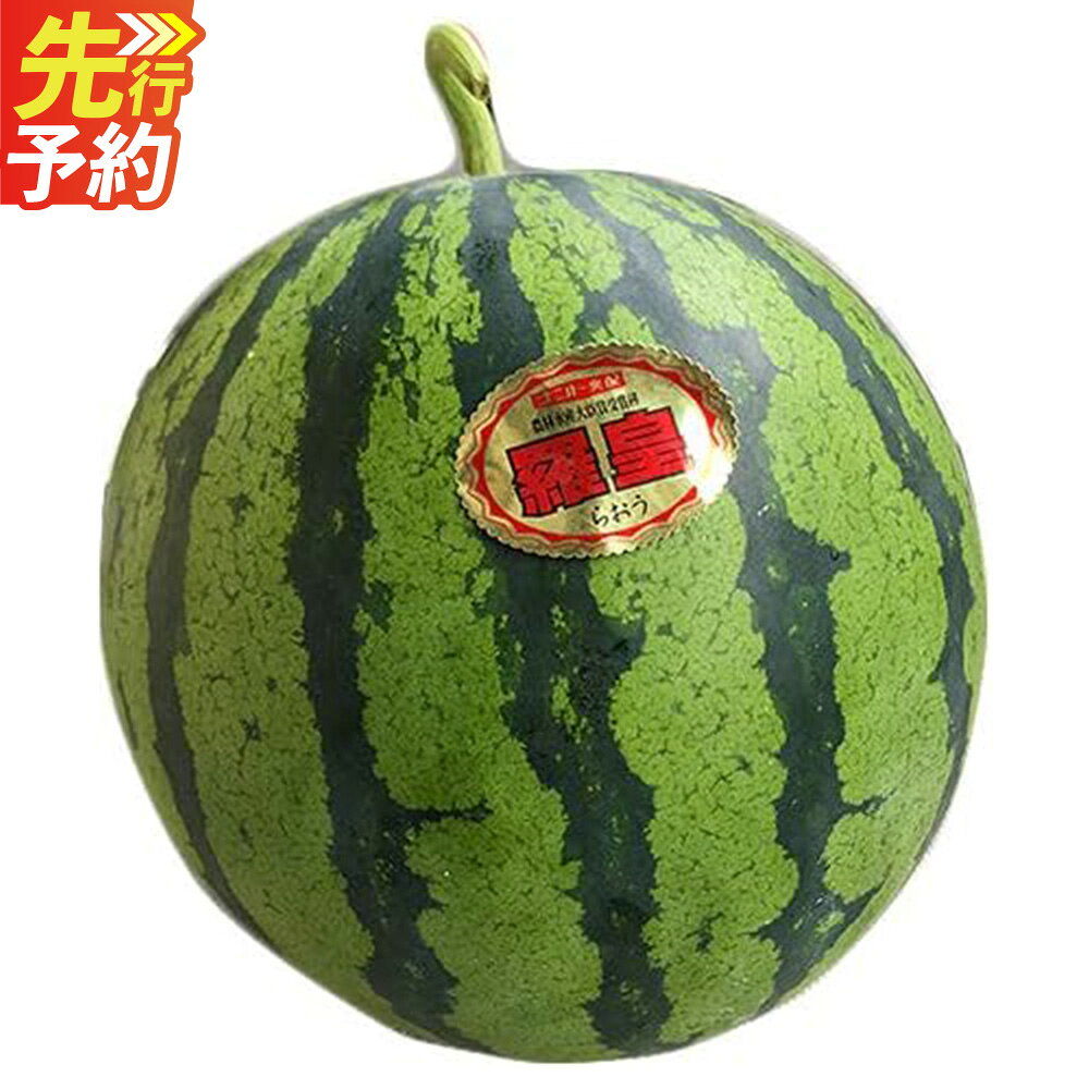 【ふるさと納税】 熊本産 大玉すいか ラオウザスイート 1玉入り 5kg以上 西瓜 スイカ 羅皇 フルーツ 果物 くだもの 果実 おやつ 熊本県 国産 常温 送料無料 【2027年5月上旬～6月下旬迄順次発送予定】