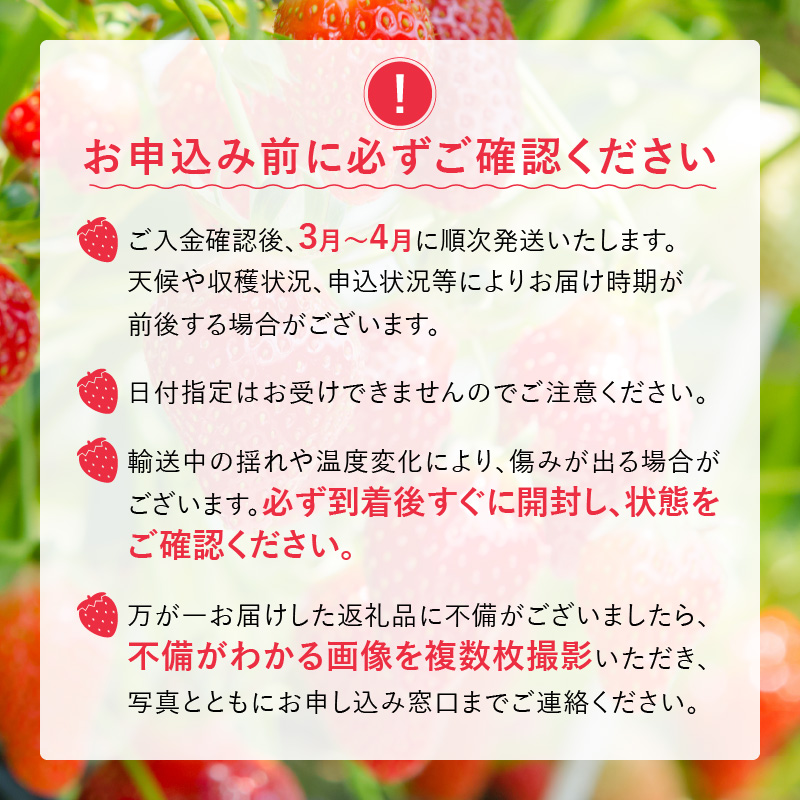 福岡県産あまおういちご　280g～300g×8パック（中粒）【3月～4月発送】 _ いちご あまおう 中粒 8パック 宇佐川農園 果物 フルーツ みずみずしい ジューシー 甘味 酸味 濃厚 ストロベリ