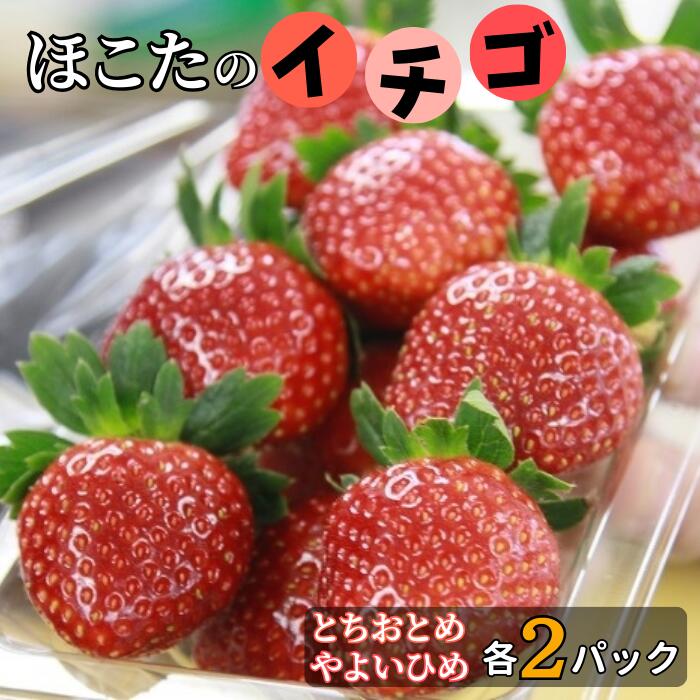 【ふるさと納税】JAほこた　なだろう　いちご（とちおとめ×2パック）（やよいひめ×2パック）