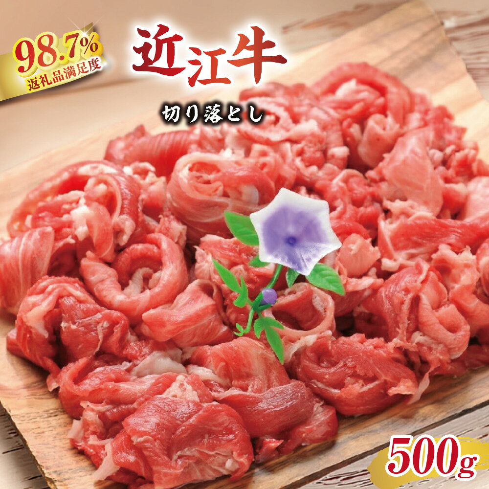 【ふるさと納税】500g 牛 パック 冷凍 滋賀県産