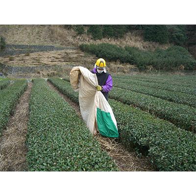 ふるさと納税 島田市 【毎月定期便】茶草場農法実践者の有機深むし煎茶100g×3本 全12回 |  | 02