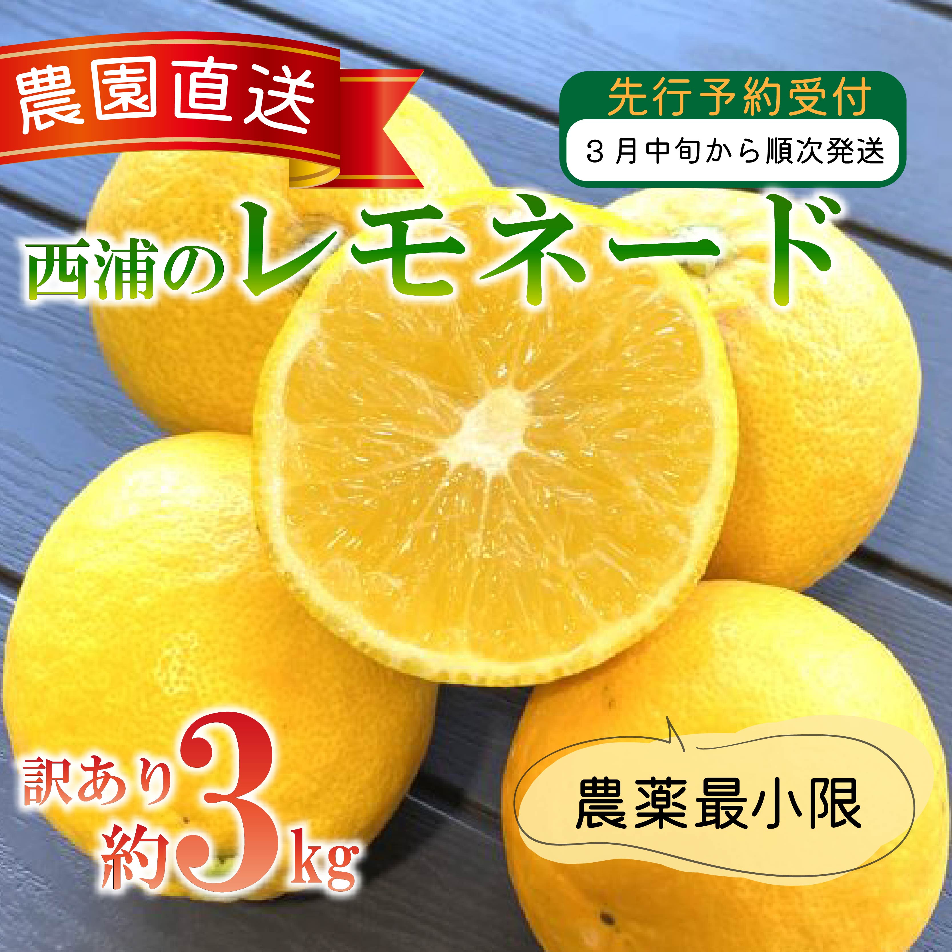 【ふるさと納税】 訳あり 西浦 レモネード 3kg 西浦 蜜柑 柑橘 オレンジ 減農薬 木負観光みかん園