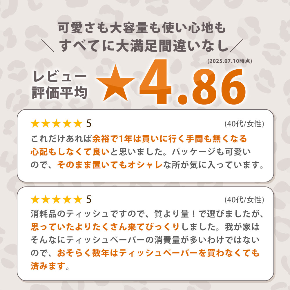 MH140-0137_【ふるさと納税】 ティッシュ ティッシュペーパー「 大容量 ANIMAL BOXティッシュ 定期便 2パック (ケース10個入り) 全3回(毎月)」[ 動物柄 アニマル柄 常備品