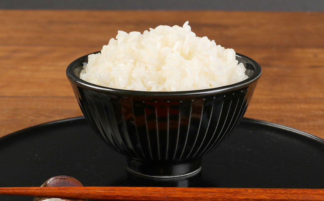 人吉球磨産 ひのひかり 5kg お米 産地限定
