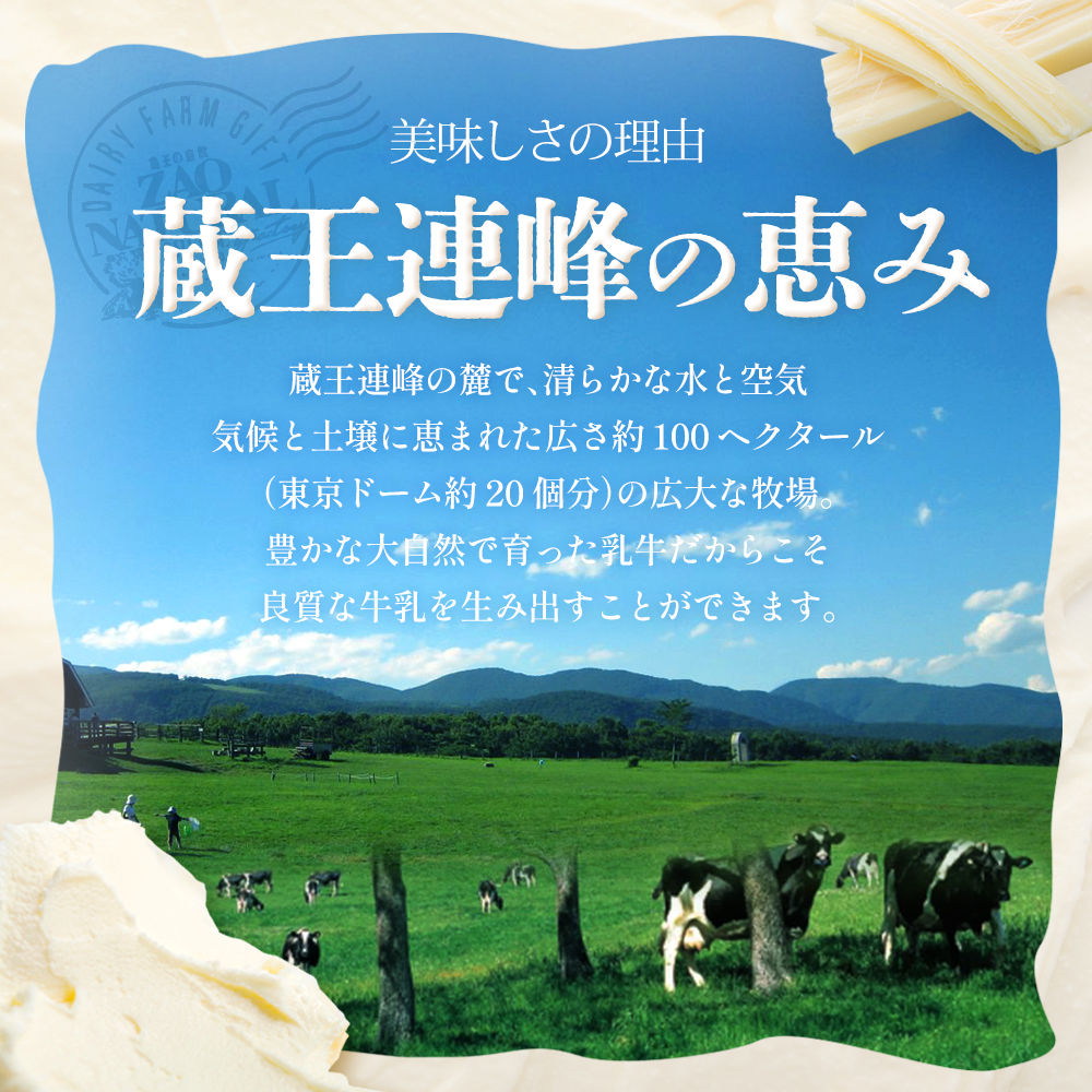蔵王チーズ チーズ大福 ティラミス大福　選べる個数 各5個 各10個 1種類10個 20個　【04301-1054～1059】_イメージ3