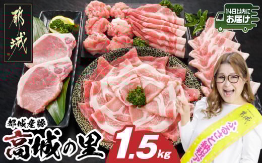 「高城の里」わくわく1.5kgセット(真空)≪みやこんじょ快速便≫_12-84-001-1500g-R