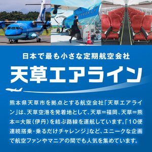 S035-011_イルカの飛行機「天草エアライン」をスタッフと一緒にお見送り体験