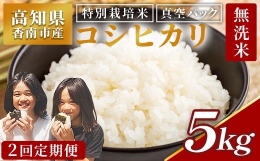 無洗米 5kg 定期便 2回 特別栽培米 令和8年産 コシヒカリ 白米 真空パック 国産 米 お米 おこめ こしひかり コシヒカリ ごはん おにぎり ムセンマイ テイキビン 5きろ むせんまい ていき