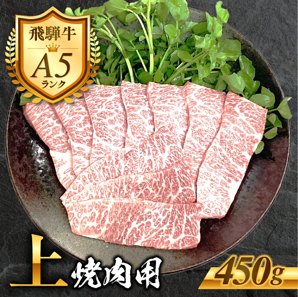 【ふるさと納税】［A5等級］飛騨牛 上カルビ 焼き肉用 450g 2～3人前 霜降り 精肉 肉 牛肉 黒毛和牛 和牛 BBQ 飛騨牛 お肉 肉 焼肉 焼き肉 冷凍 明宝ハム 明宝物産物加工 20000円 2万円 [G0025]