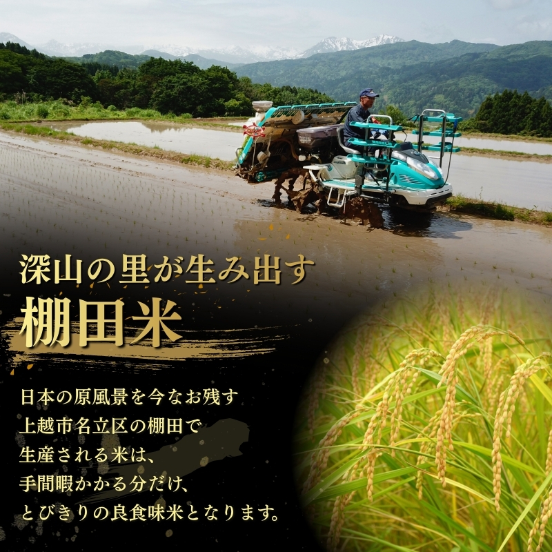 令和8年産 新潟県上越市名立区産 コシヒカリ 棚田米 「灘立