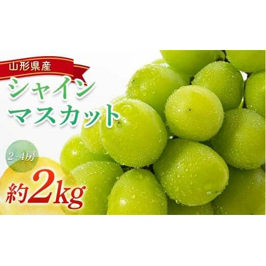 【令和7年産先行予約】 シャインマスカット 約2kg (2～4房) 《令和7年9月頃～発送》 『南陽中央青果市場』 マスカット ぶどう 果物 フルーツ デザート 山形県 南陽市 [1205]