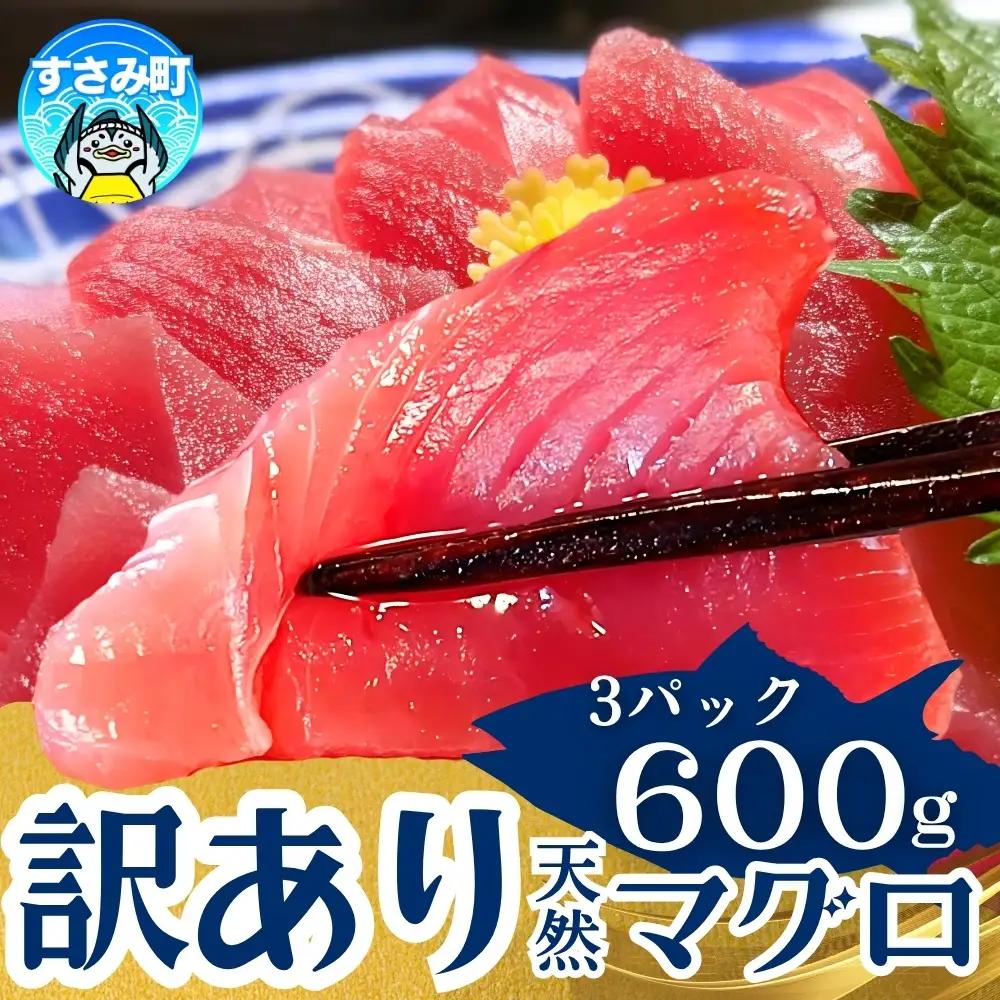 まぐろ 【翌々営業日発送・訳あり】和歌山の天然まぐろ 冷凍 計600g【scp002C】