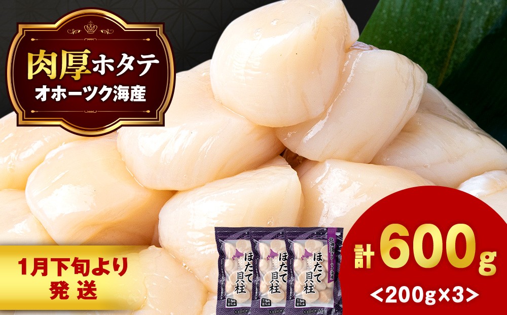
            【1月末発送】ほたて 冷凍貝柱 冷凍(15粒前後)200ｇ×3パック お取り寄せ 刺身 《横田水産》
          