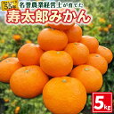 【ふるさと納税】 寿太郎 みかん 5kg M ～ 2L 柑橘 ミカン フルーツ 【 はらみかん 農園 】熟成 直送 数量 限定