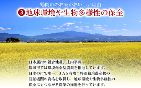 令和5年産 特別栽培米 山形県 庄内産 つや姫精米 5kg×2袋 計10kg 米食味鑑定士お薦め