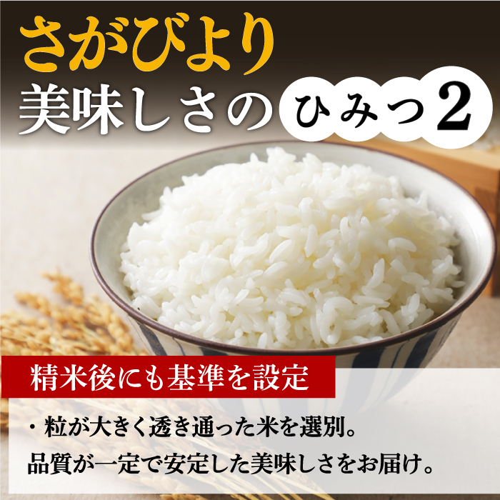 【新米 令和7年産】さがびより 10kg（5kg×2袋） 吉野ヶ里町/増田米穀 [FBM018] 