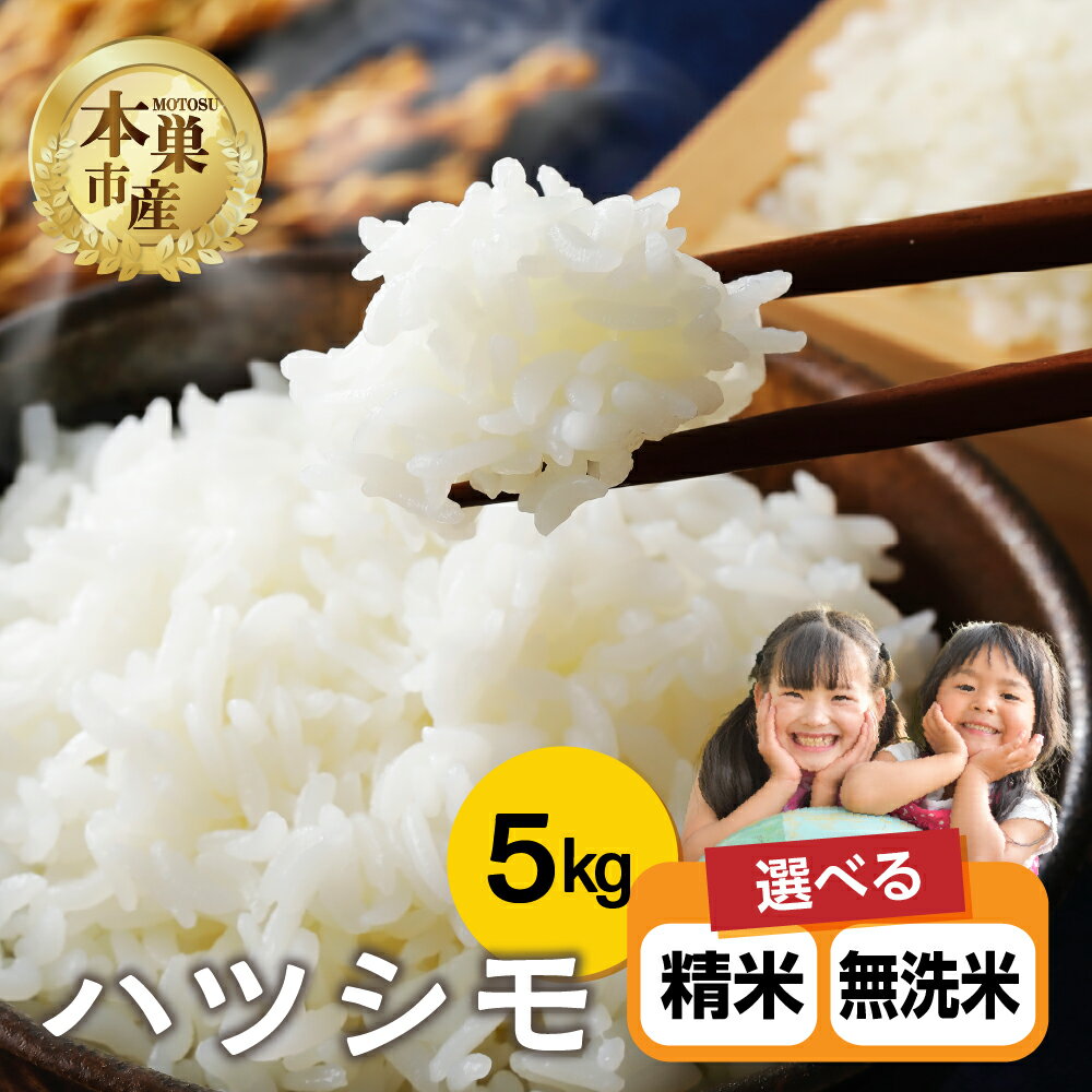 【ふるさと納税】選べる 精米 or 無洗米 令和7年産 ハツシモ 5kg 米 ハツシモ こめ ごはん 白米 岐阜県 本巣市 お米 お茶漬け 甘い 和食 寿司 本巣市 15000円 くどみフルーツ農園