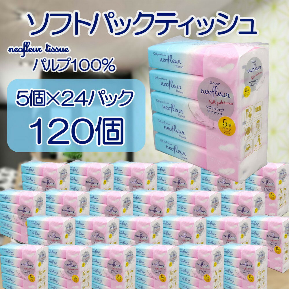 【ふるさと納税】ソフトパックティッシュ　5個パック（コンパクト）×24セット(120個） フィルム包装 ティッシュペーパー 箱なし