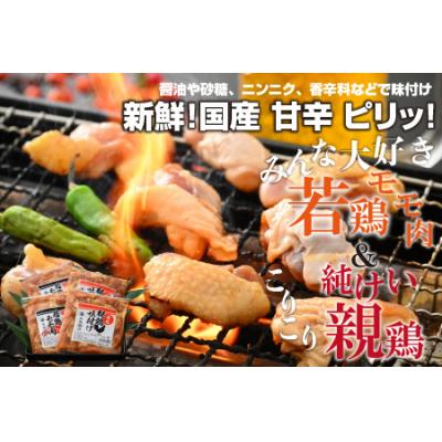 ふるさと納税 大野市 焼肉用 国産味付け親鶏 純けい&若鶏 モモ肉 食べ比べセット 計1.6kg(400g×4パック) |  | 01