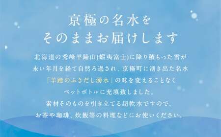 【6回定期便】羊蹄のふきだし湧水 「京極の名水」 2L×12本 （1ケース） 軟水 水 みず ペットボトル 国産 定期便 北海道 京極町