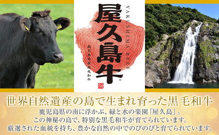 【定期便 全8回】【屋久島牛】世界自然遺産 全品堪能定期便＜1～8月発送＞