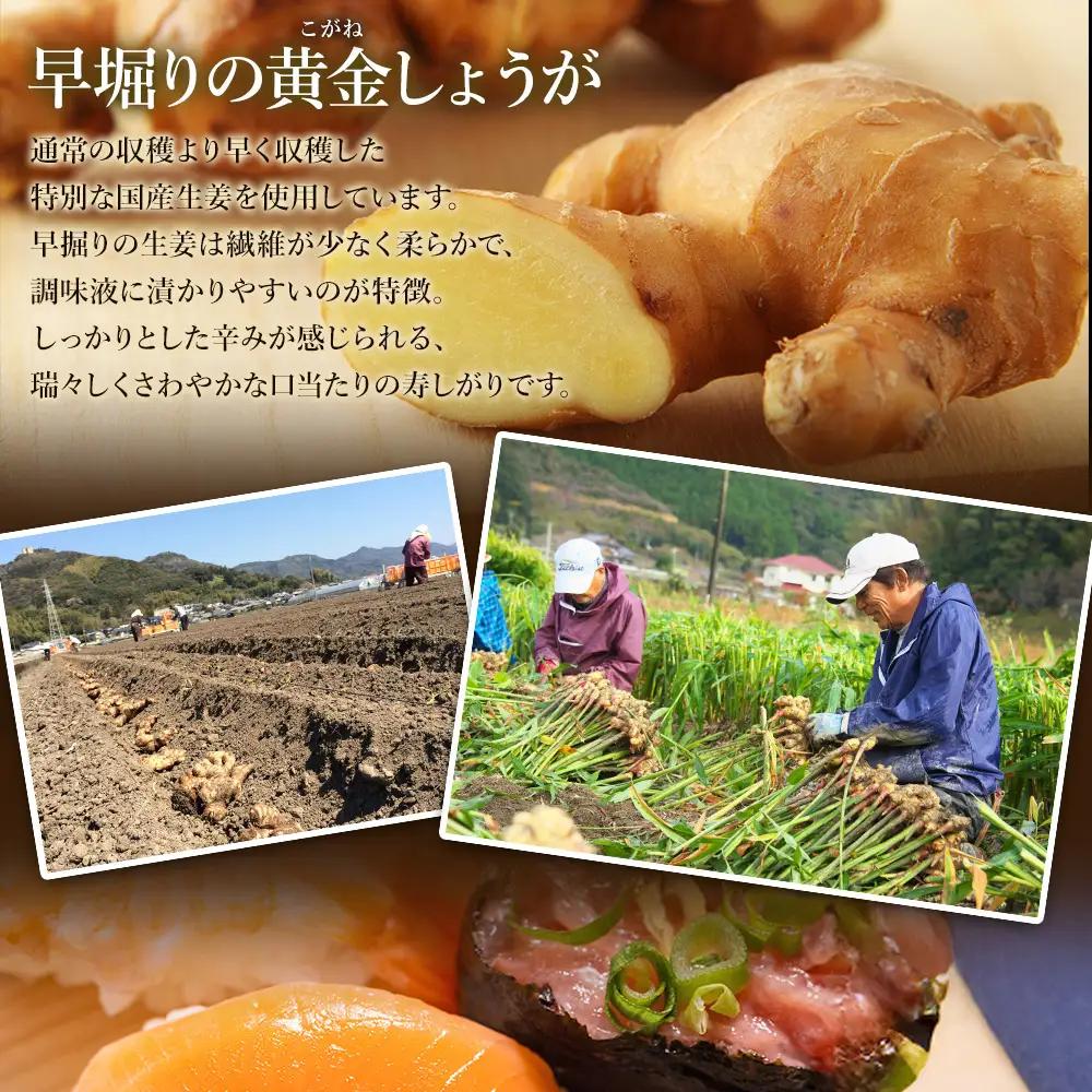 寿司ガリ 1kg×3袋 がり Xnb-0012