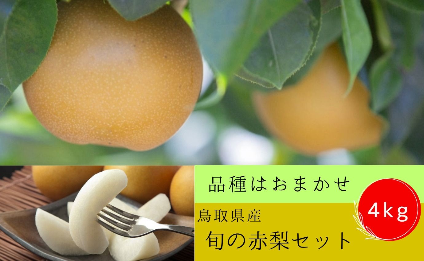
            【'26先行予約】 旬の赤梨セット 4kg ( 品種はおまかせ )　[213-W13]
          