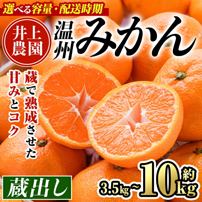 【ふるさと納税】蔵出しみかん (約3.5kg・5kg・10kg) みかん ミカン 蜜柑 柑橘 フルーツ 果物 くだもの 果実 国産 熟成 大分県宇佐市産 ＜1月上旬以降順次発送＞＜数量限定＞＜容量・配送時期が選べる＞【103600800・103600401・103600900】【井上農園】