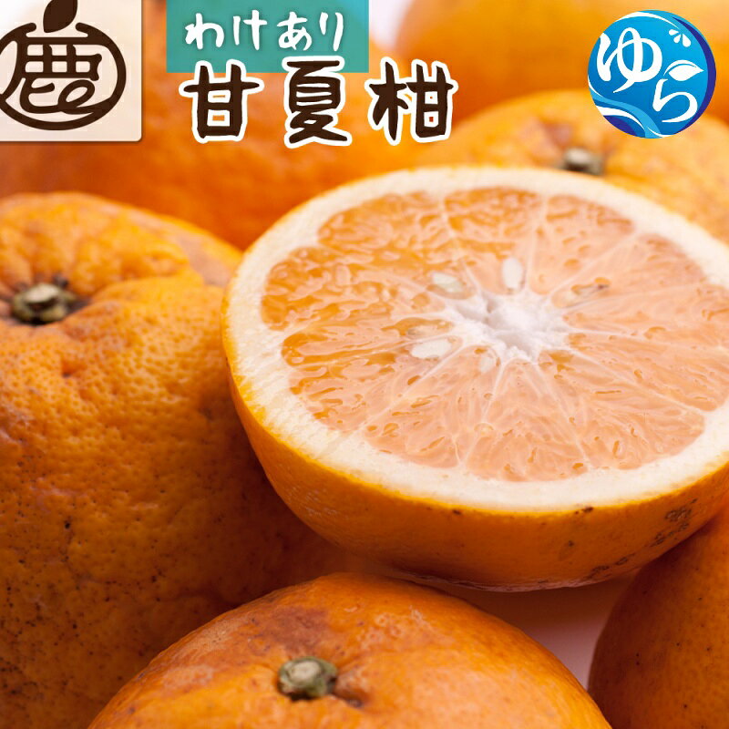 【ふるさと納税】 甘夏柑 家庭用 10kg+250g（傷み補償分） / フルーツ 果物 くだもの 食品 人気 おすすめ 送料無料 ※2027年4月中旬～6月下旬に順次発送予定 ※北海道・沖縄・離島への配送不可