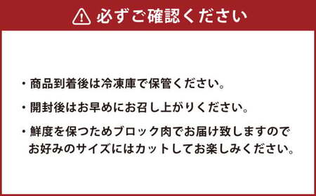 ＜ R8年熊本地震復興支援 ＞【純国産熊本肥育】桜牧場 馬刺し 霜降り 赤身 セット 5種 計400g【30営業日以内順次発送】