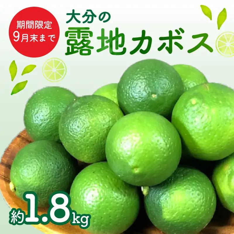【期間限定9月末まで】大分の露地カボス 約1.8kg C09022