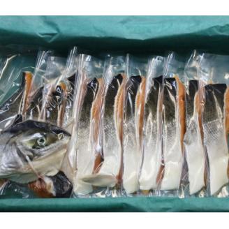 先行受付 活〆 時知らず鮭 切り身 中塩仕込 天然  半身 1200g 魚体3kg以上 小分け【配送不可地域：離島・沖縄県】