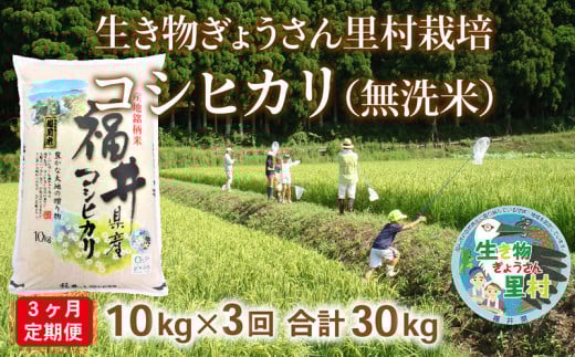 〈先行予約・令和６年度産〉【定期便3回】生き物ぎょうさん里村栽培　コシヒカリ（無洗米）10kg　ビニール袋入り