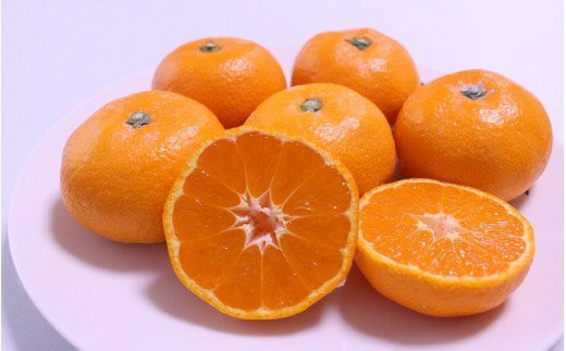 田村みかん並みの甘さ！ こだわりの和歌山県産 有田みかん 5kg（S～Lサイズおまかせ） ひとつひとつ手選別で厳選！生産者から直送 【2025年11月下旬～1月中旬ごろに順次発送予定】 | みかん フ