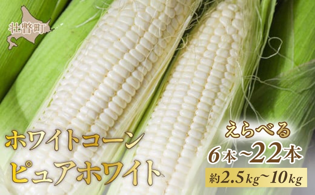 
            ＜2026年8月中旬よりお届け＞【朝採り】北海道壮瞥町　ホワイトコーン「ピュアホワイト」選べる容量 Lサイズ以上6本～22本（約2.5kg～10kg）【 ふるさと納税 人気 おすすめ ランキング ホワイトコーン ピュアホワイト 白い 白 トウモロコシ とうもろこし 野菜 甘い 北海道 壮瞥町 送料無料 】 SBTQ004
          