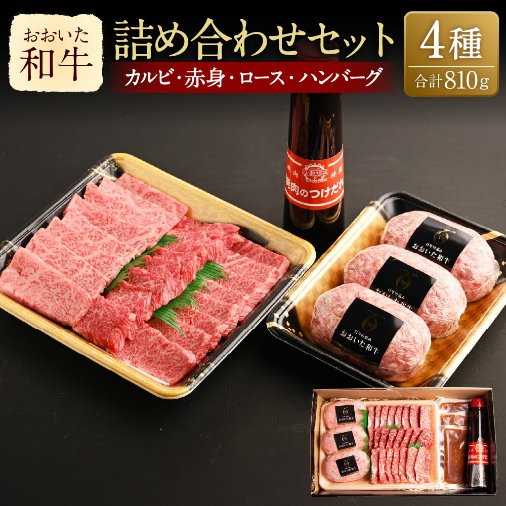 【ふるさと納税】おおいた和牛 詰め合わせセット 120g×3種 計約360g ハンバーグ 150g×3個 計約450g つけダレ付 牛肉 和牛 国産 BBQ カルビ ロース 赤身 デミグラスソース 詰め合わせ 盛り合わせ 焼肉 セット 九州 冷凍 大分県産 竹田市 送料無料
