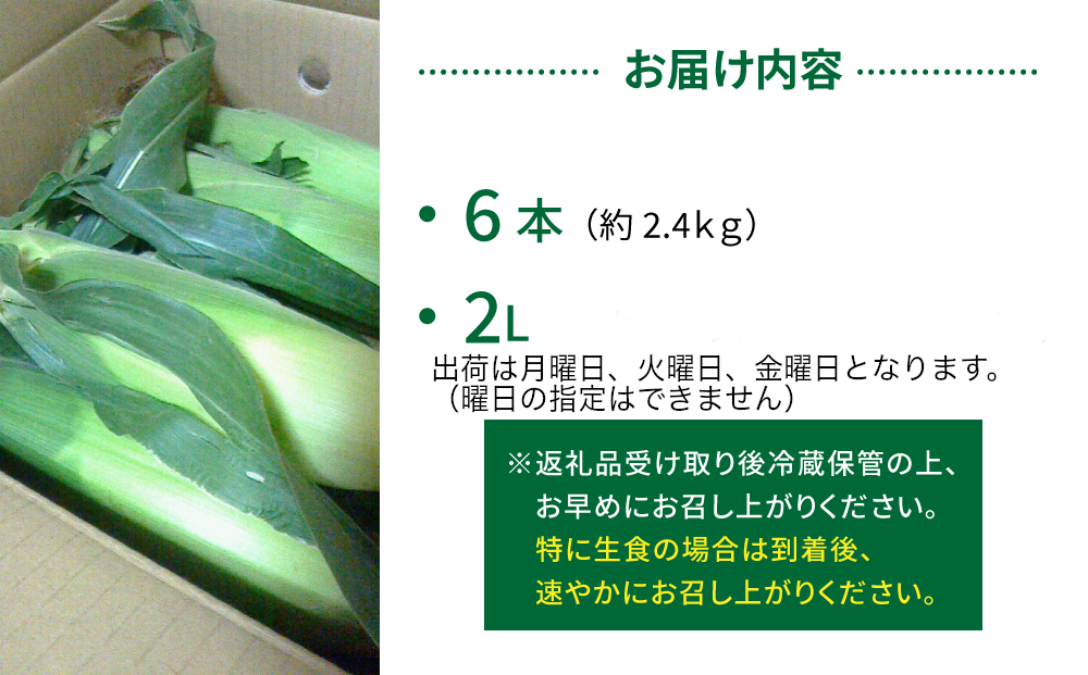 生とうもろこし 2L 6本 有機肥料使用のスイートコーン！ 長野県東御市産 ※7月中旬から順次発送予定※発送曜日指定不可