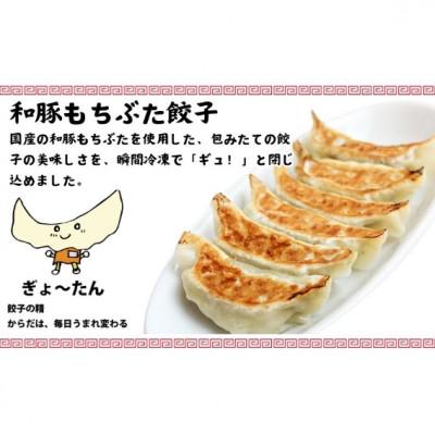 ふるさと納税 藤沢市 餃子200個　ザーサイ1袋　セット |  | 01