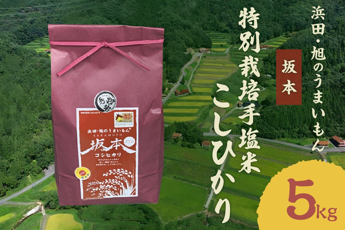 
            浜田・旭のうまいもん「坂本」特別栽培手塩米こしひかり　5kg 【118_1198】
          