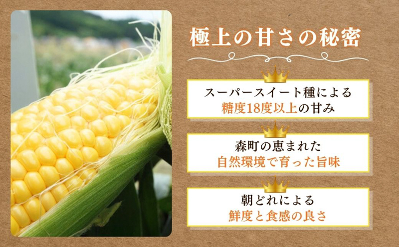 【実がぎっしり大きい！新鮮！朝どれとうもろこし】森のおおきみ6本