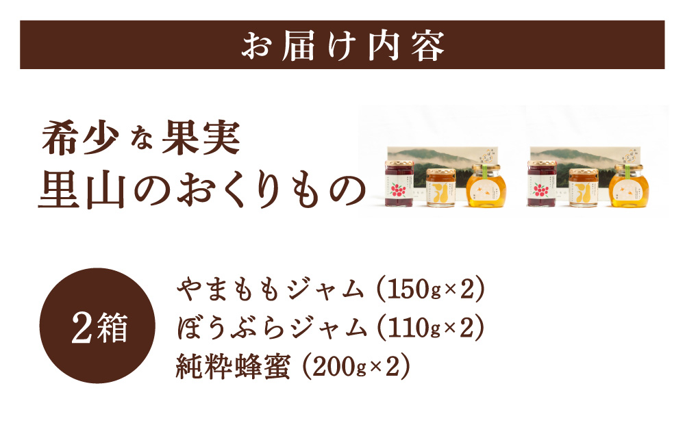 【贈り物にピッタリ！】里山のおくりもの 2箱 やまもも ぼうぶらのジャム 蜂蜜