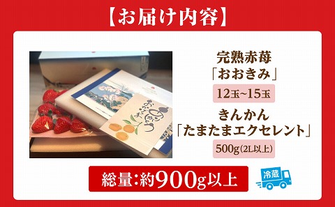 《2026年発送》【数量・期間限定】宮崎冬物語HOKUSAIGIFT紅苺・たまたま いちご イチゴ 苺 きんかん 金柑 金柑たまたま 果物 フルーツ