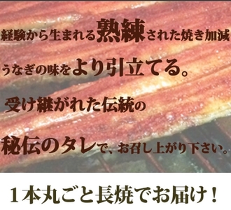 うなぎ 蒲焼 鰻 国産 冷凍 / 大型サイズ ふっくら柔らか国産うなぎ蒲焼き ３尾【uot303-3】