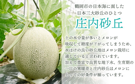 【令和8年産先行予約】 庄内砂丘赤肉メロン 秀品 大玉 約5kg (3～4玉) 山形県鶴岡市産　株式会社 元青果