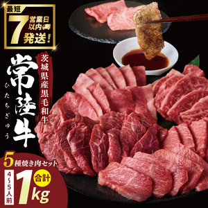 常陸牛5種焼肉セット希少部位入り（４～５人前１kg)【常陸牛 国産牛 和牛 牛肉 切り落とし 焼肉セット 希少部位   茨城県 水戸市】（NW-13）