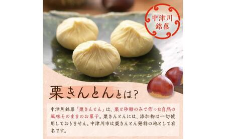 中津川銘菓「栗きんとん使用」栗粉餅6個入×3箱 [秋季限定] 信玄堂 栗 くり くりきんとん 餅 和菓子 菓子 スイーツ 秋 限定 冷凍 岐阜県 F4N-2299