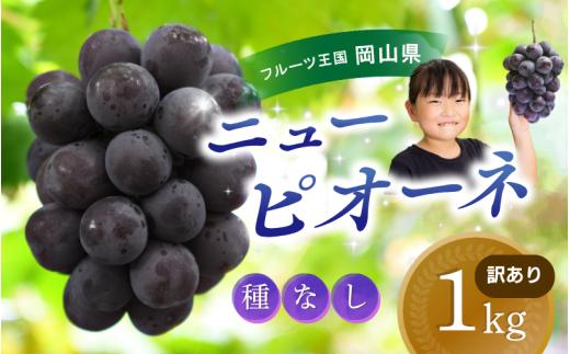
            【2026年の先行予約です】 ぶどう 訳あり 花笑み農園の ニューピオーネ 1kg hana33. / ぶどう ブドウ 葡萄 岡山 ピオーネ 先行予約 フルーツ 果物 真庭市
          