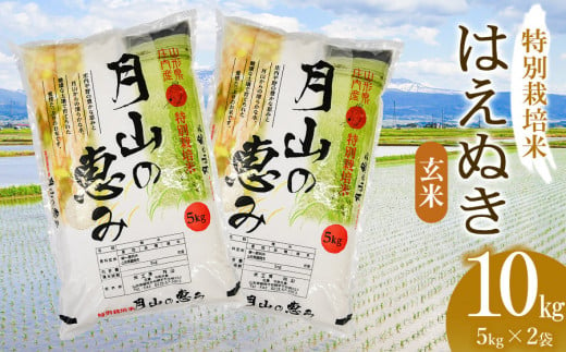 【令和6年産 新米】 特別栽培米 はえぬき 玄米 10kg（5kg×2袋）山形県鶴岡市産　米工房 月山