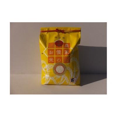 ふるさと納税 石岡市 【令和7年産】獅子米 ミルキークイーン 精米 10kg